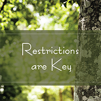 Restrictions are Key Restrictions are Key